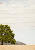 fotografos-topgamos-yorgosfasoulis-athina-1409