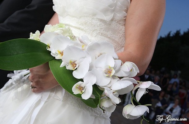 Ζώδια και νυφική ανθοδέσμη