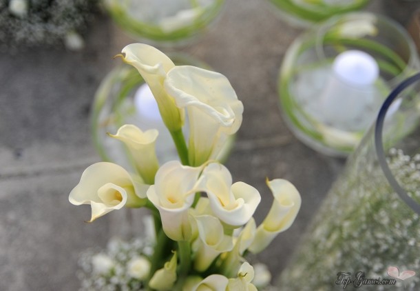 Οικολογικός γάμος