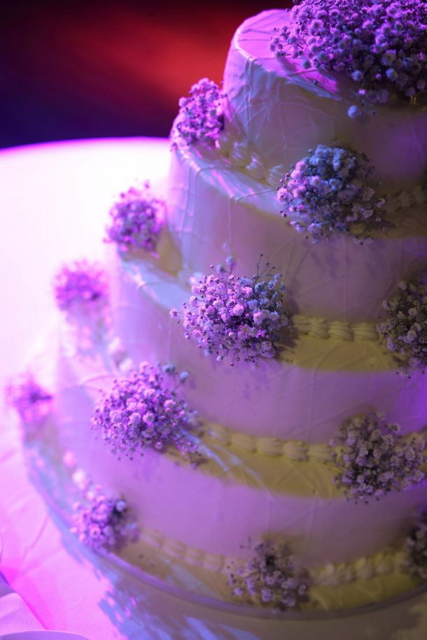 Vintage γάμος στα Αθηναϊκά προάστια | Ευγενία & Πάνος