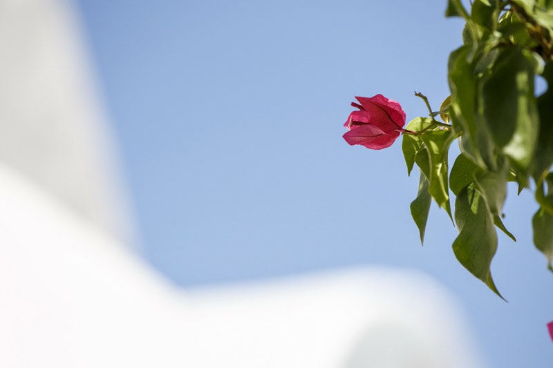 Ρομαντικός γάμος στην Αστυπάλαια | Μαρία & Σταύρος
